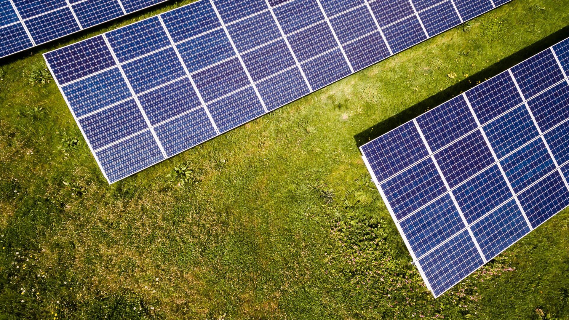 Energy Brasil - Interlagos no Instagram: “▪️ A energia solar residencial já  é uma realidade para usuários que desejam produzir energia limpa e  renovável por mei…